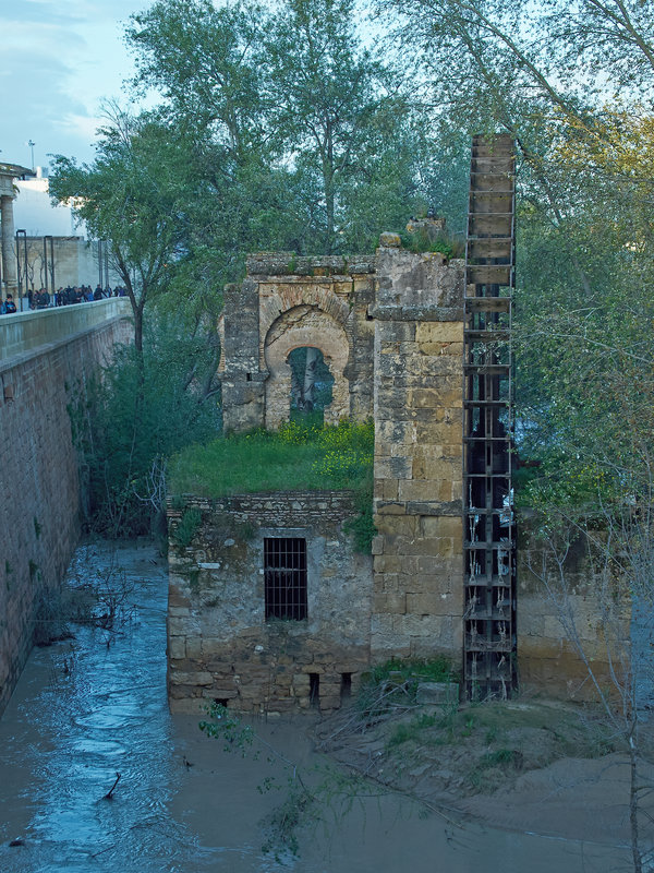 Cordoba
